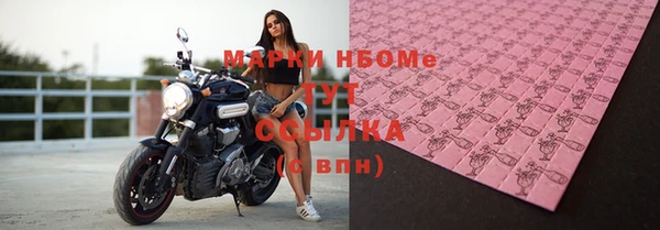 спайс Покачи