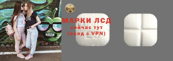 спайс Покачи