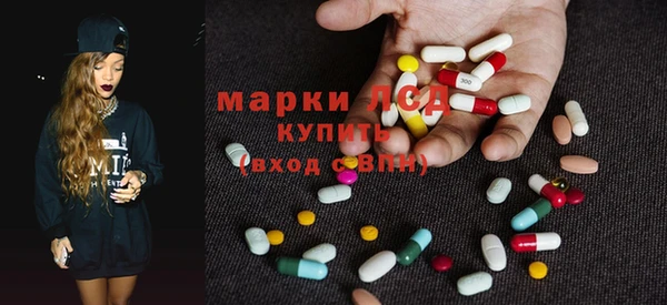 спайс Покачи