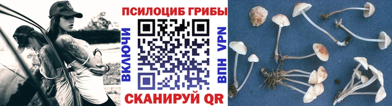 Галлюциногенные грибы мухоморы  Спас-Деменск 